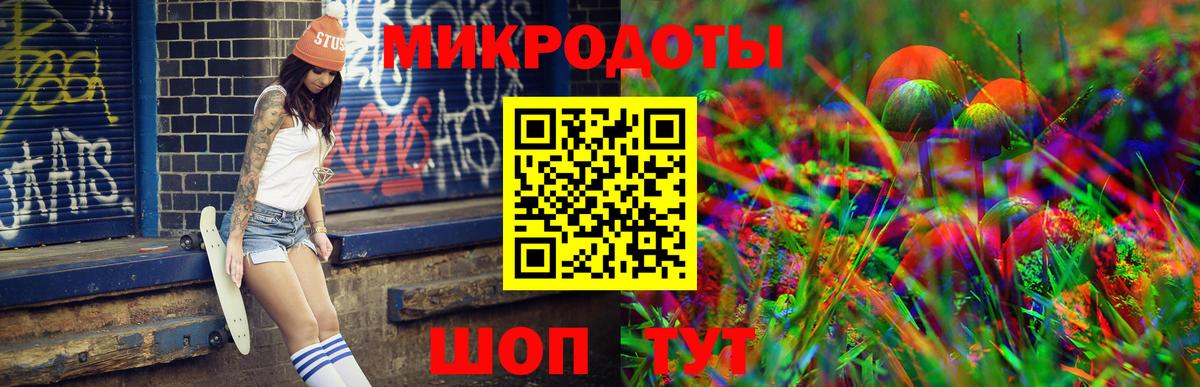 Псилоцибиновые грибы Cubensis Дубна