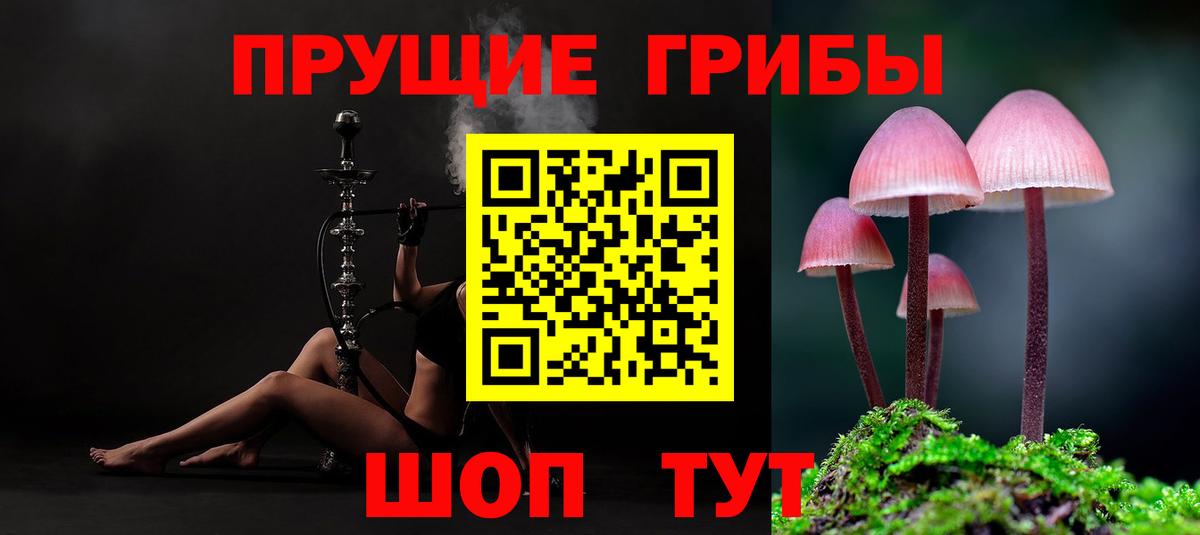 Галлюциногенные грибы прущие грибы  Галлюциногенные грибы ЛСД  дарнет шоп  Вход с VPN  Дубна 